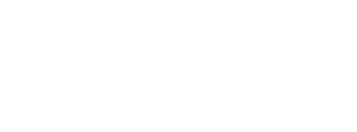 Gateshead Council New