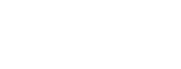 Liverpool City Council Logo White