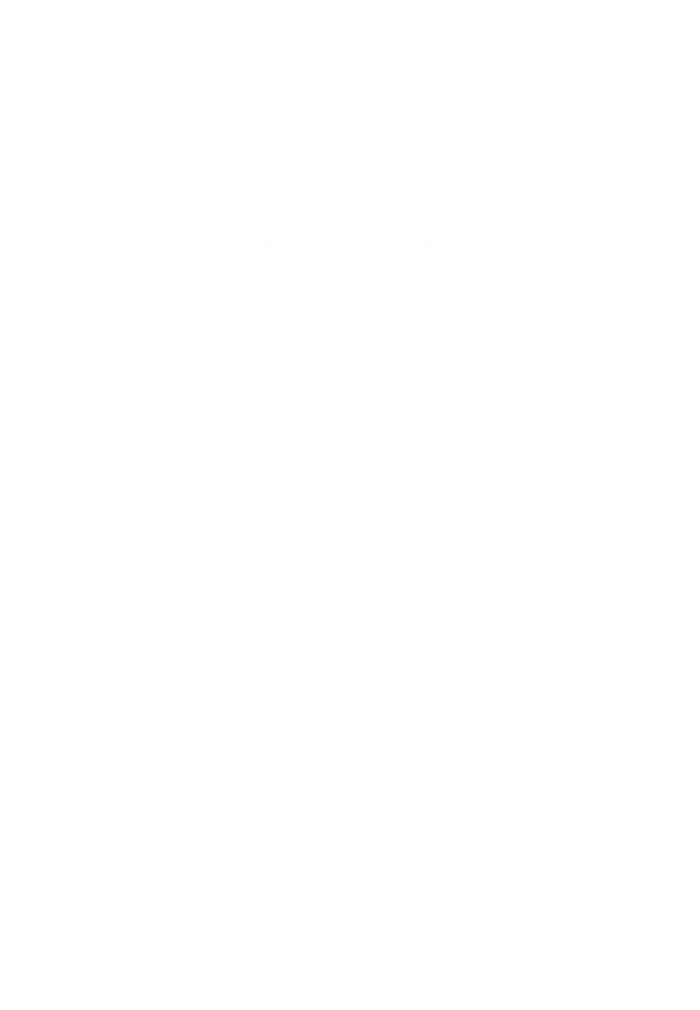 Perth Kinross Logo White v2