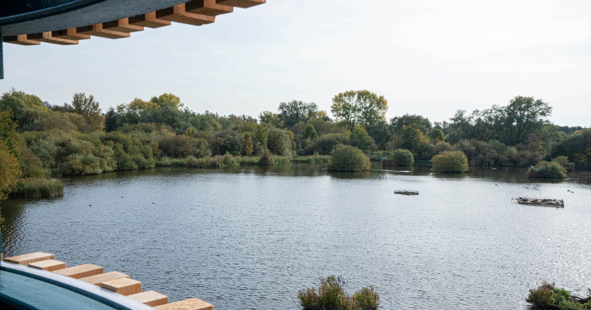 The five metre viewing tower allows bird watchers and nature lovers to take a closer look at the wildlife park 1