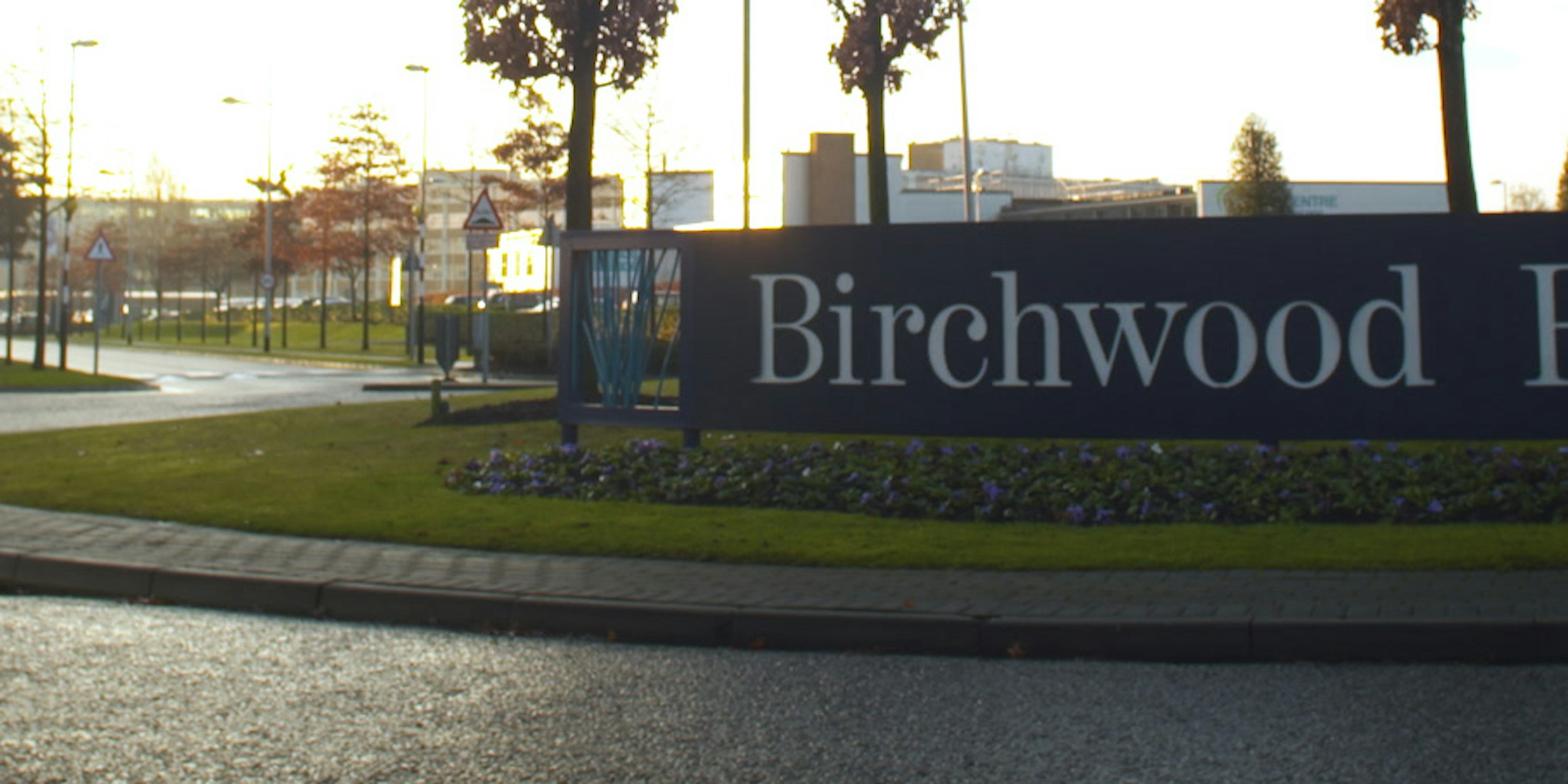 Birchwood video screengrab for case study