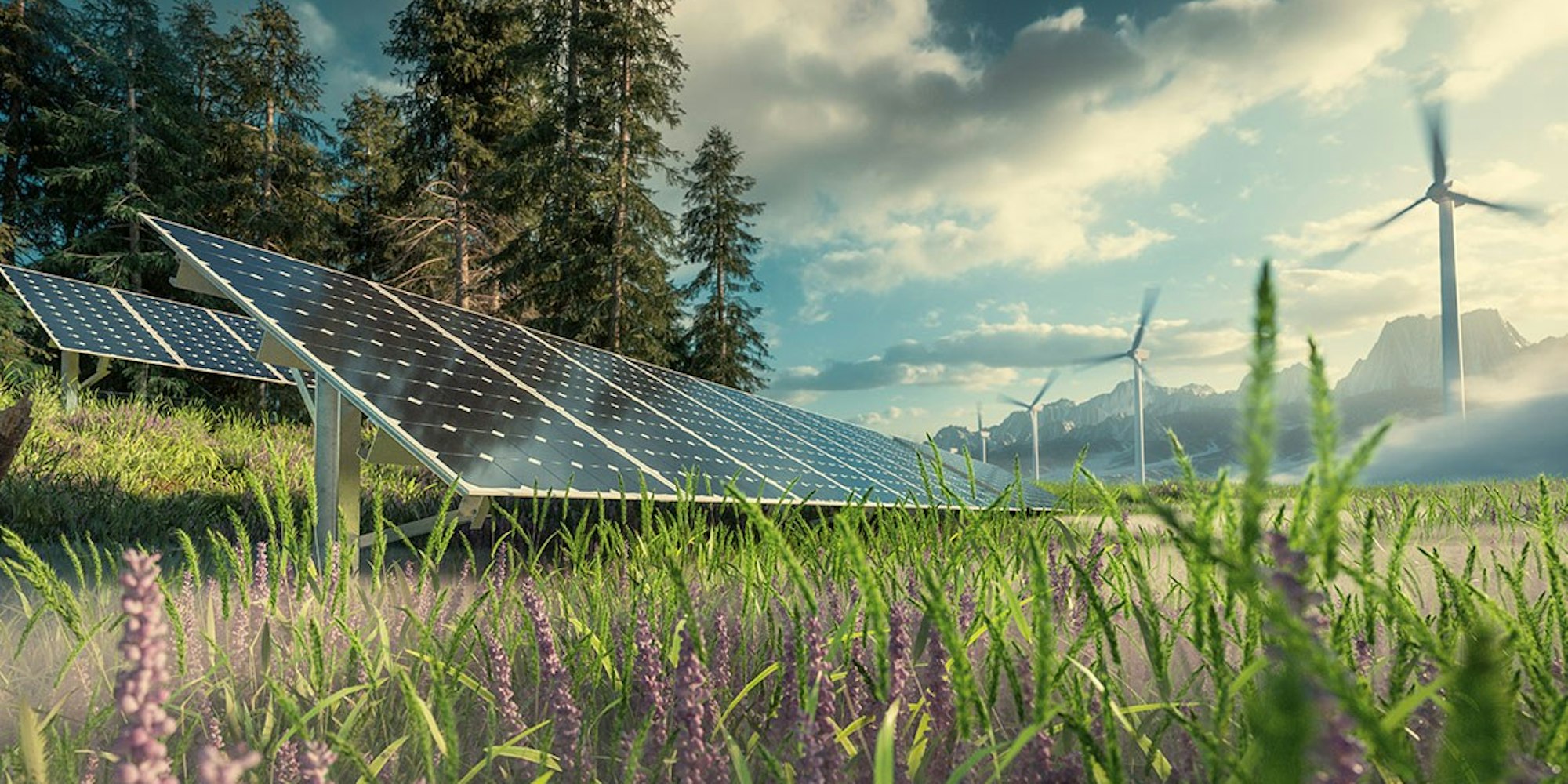 Lifecycle project webinar net zero